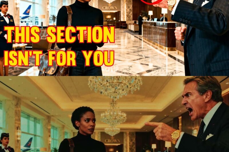 (2) Black CEO Denied First Class Seat — One Call Later, $900M Empire Collapses 