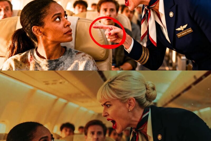 (1) Flight Attendant Targets Black CEO — One Call Later, She Fires the Entire Crew