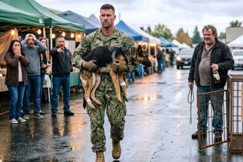 They Laughed at a “Worthless” K9 for $1—Then a Navy SEAL Paid $100 