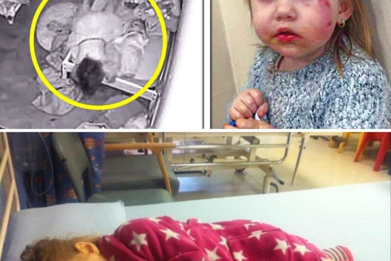Little Girl Wakes Up with blood in Her Body, Dad Sets Up Camera in Her Room