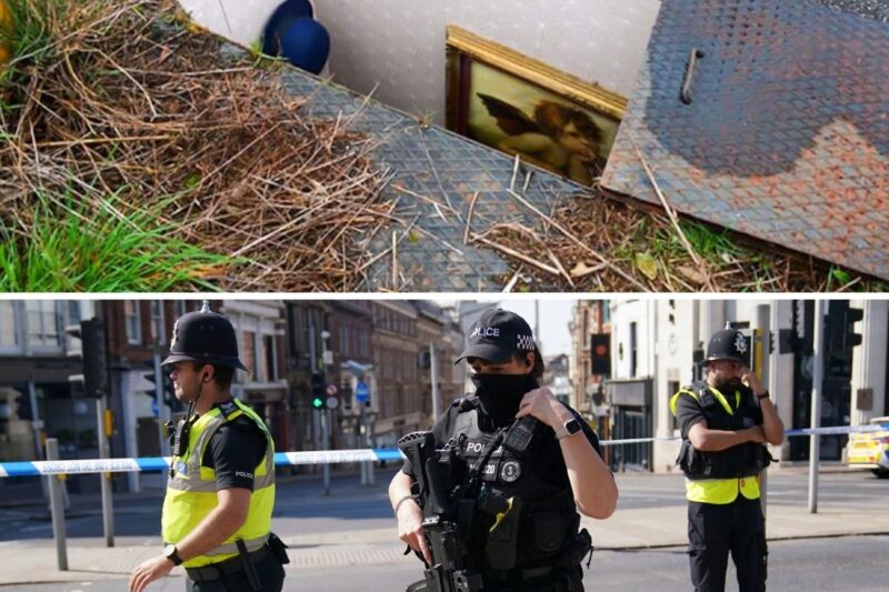 MAN FINDS SECRET ROOM UNDER THE ROAD, SHOCKED AT WHAT’S INSIDE, HE CALLS THE POLICE RIGHT AWAY!