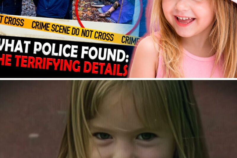 WARNING: The Most Tragic Mistake Ever!!! A Mystery That Will Make You Screem… | True Crime 