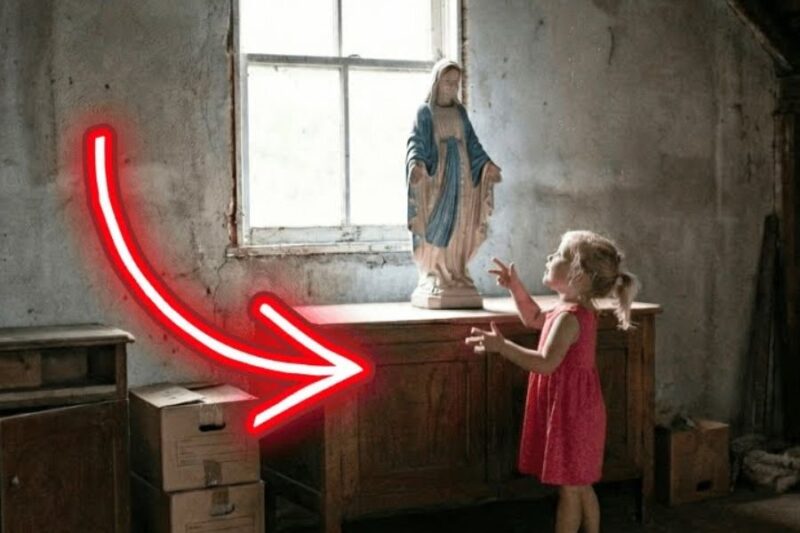 The Miracle in Chicago — The Orphan Girl Who Spoke with the Virgin Mary in the Attic