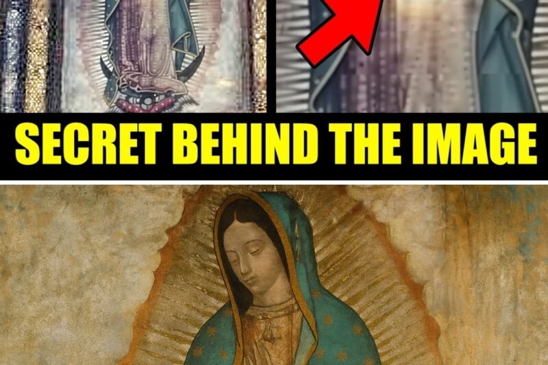 The Hidden Miracle Behind Our Lady of Guadalupe They Never Told You