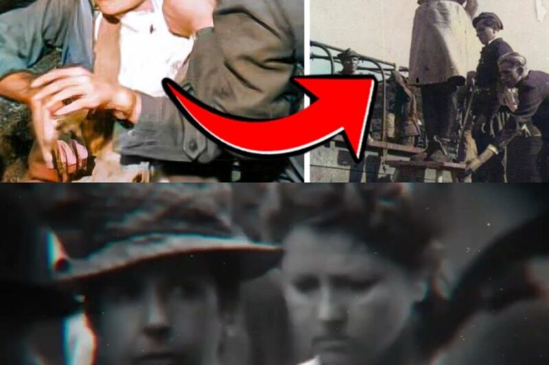 What Happened to Female Nazi Guards After World War 2?