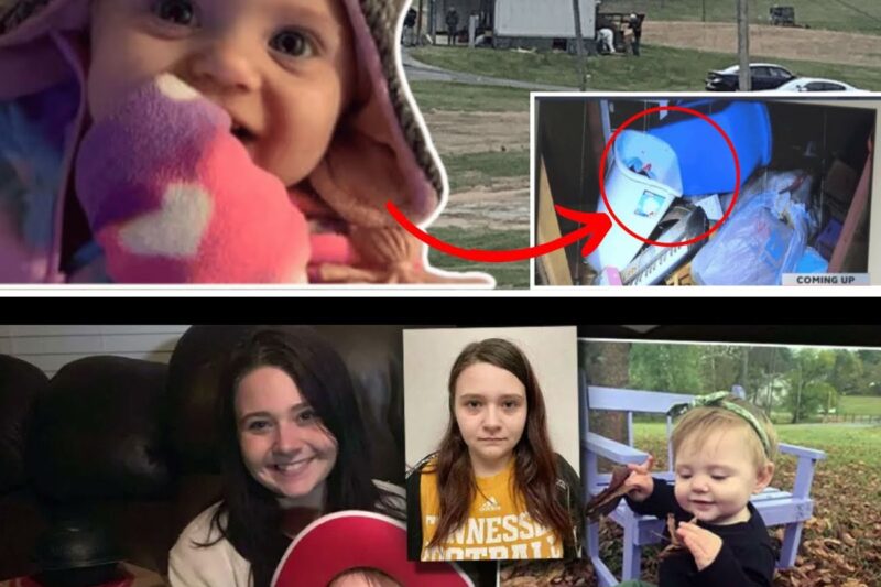 The Trash Can in the Playhouse: Evelyn Bosswell’s 54 Days Missing | True Crime Story