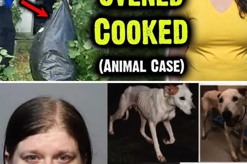 19 Bodies Found In Trash Bags Cooked in ”Oven” Shed