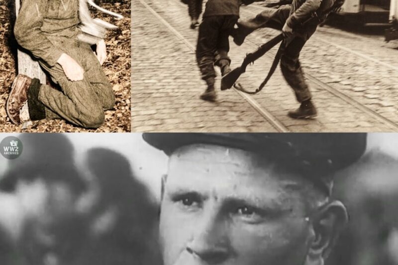 What HORRORS Really Happened When Waffen-SS Soldiers Were Captured – Hard to Watch