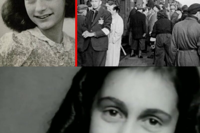 The Brutal Murder Of Anne Frank ⚠️ Hard To Stomach Details Finally Revealed Shown!