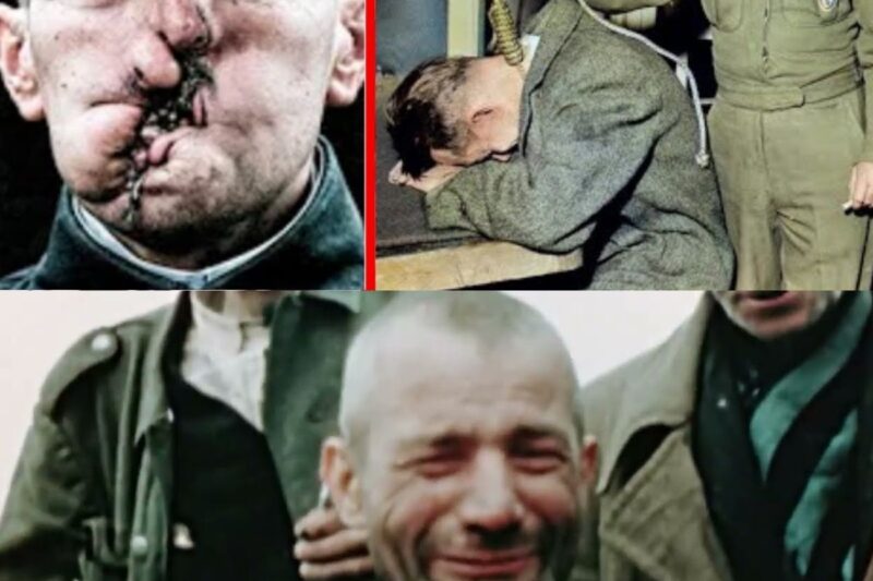 When Nazi Concentration Camps Were Discovered *Warning REAL FOOTAGE