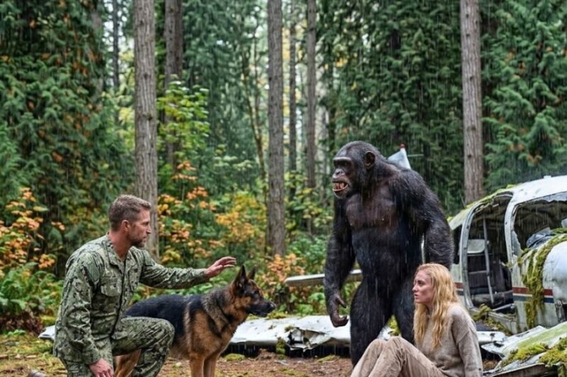 A Girl Missing for 15 Years… Found When a Navy SEAL Followed His K9 Into the Deep Forest 