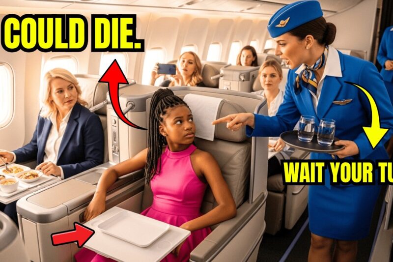 Young Black Girl Denied Water on Flight — What She Does Next Forces Plane to Land Immediately
