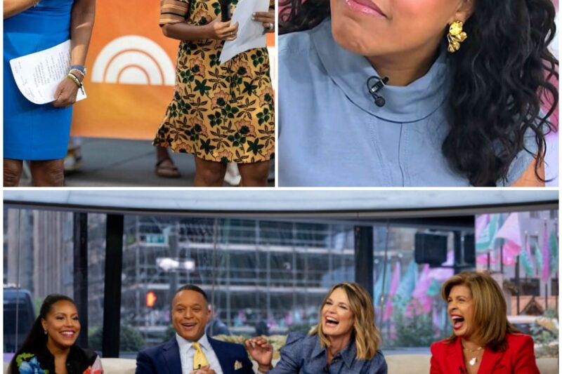 NBC has announced the new host who will be filling in for Sheinelle Jones on the TODAY SHOW, and audiences will immediately recognize the well-known face!