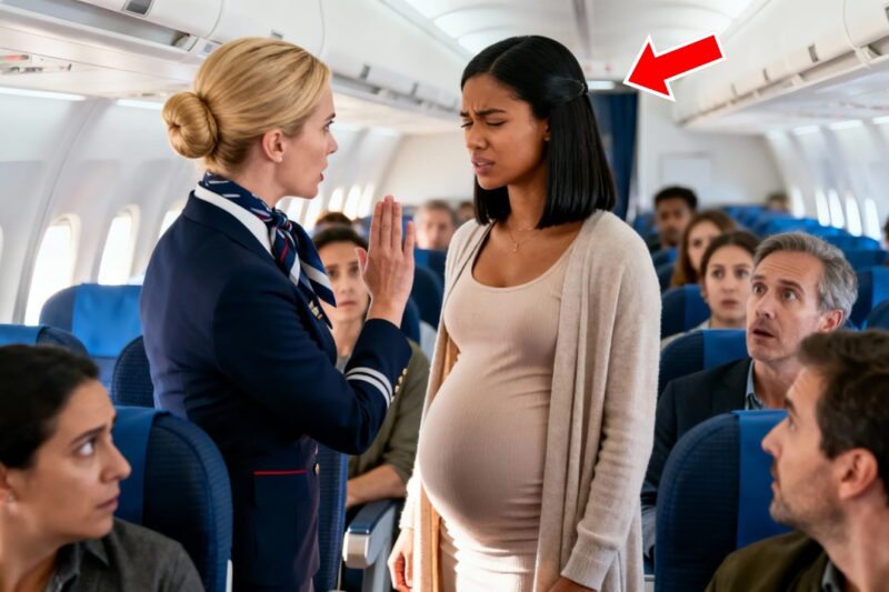 Flight Attendant Slaps Pregnant Black Woman — Not Knowing Her Husband Owns the Airline…