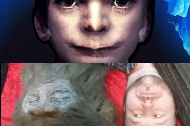 The Disturbing Hoaxes Iceberg Explained 