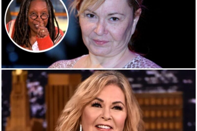 “We’re going to take down The View”: Roseanne Barr just landed a massive $50 million deal with Fox for a new show to compete with the View.
