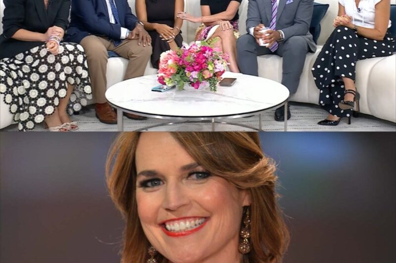 Savannah Guthrie left the TODAY team completely stunned after announcing that her family is preparing to welcome a new member during the latest broadcast: “I still can’t believe this is really happening…”