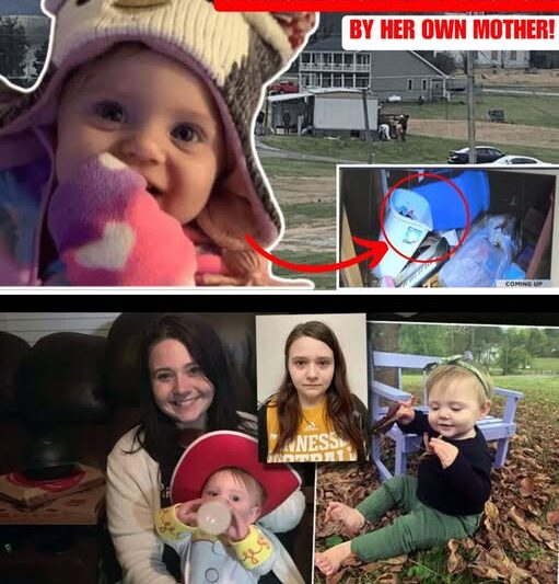 The Trash Can in the Playhouse: Evelyn Bosswell’s 54 Days Missing | True Crime Story