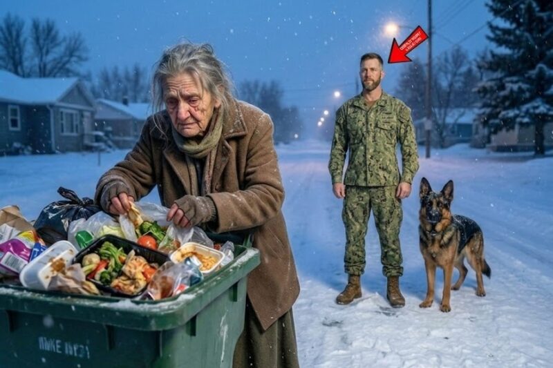 U.S. Navy SEAL and His K9 Found a Homeless Grandma Searching Trash — What He Heard Broke Him