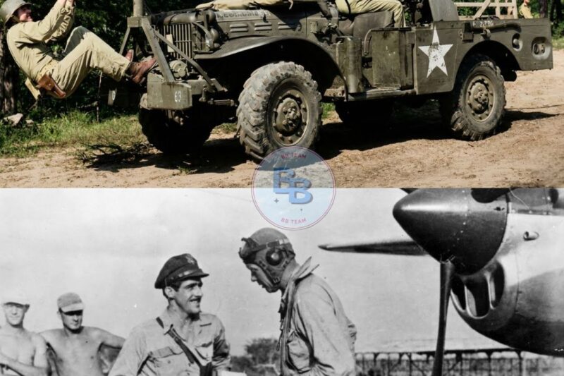 Japanese Snipers Were Terrified When Quad .50 Cals Cut Down Entire Trees To Reach Them