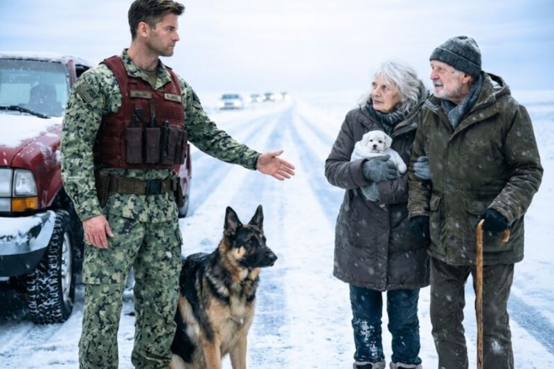 An Elderly Couple Was Freezing in a Blizzard—Then a Navy SEAL Found Them and Did the Unthinkable