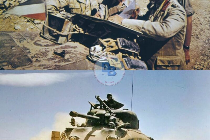 Why Rommel Changed His Mind About American Soldiers After Kasserine Pass