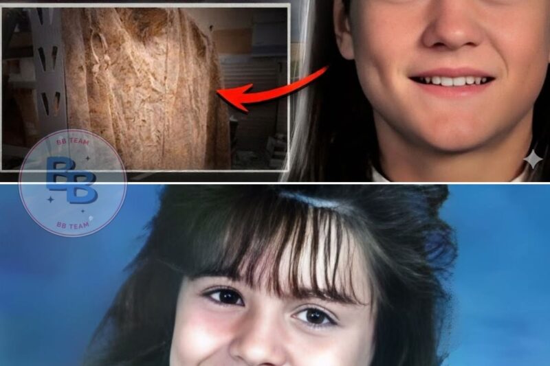 She Stayed Home Alone and Vanished — 15 Years Later, the Unexpected Truth Shocked Everyone