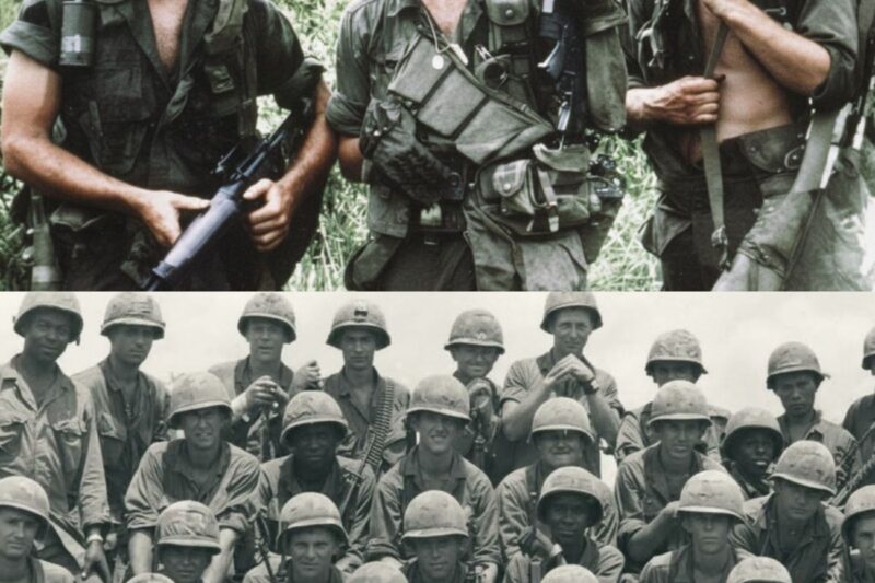 Hill 875 – NVA Bunkers Cost Our Airborne Battalion 70% Losses in 4 Days of Hell – Vietnam War
