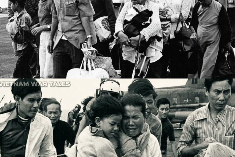 Marines Promised Vietnamese “We’ll Save You”… Then Left Thousands Behind In 1975 – Vietnam War