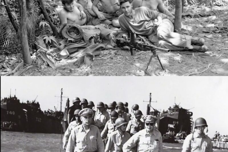 “They Are Cowards” — The US General’s Disgusting Lie To Australians
