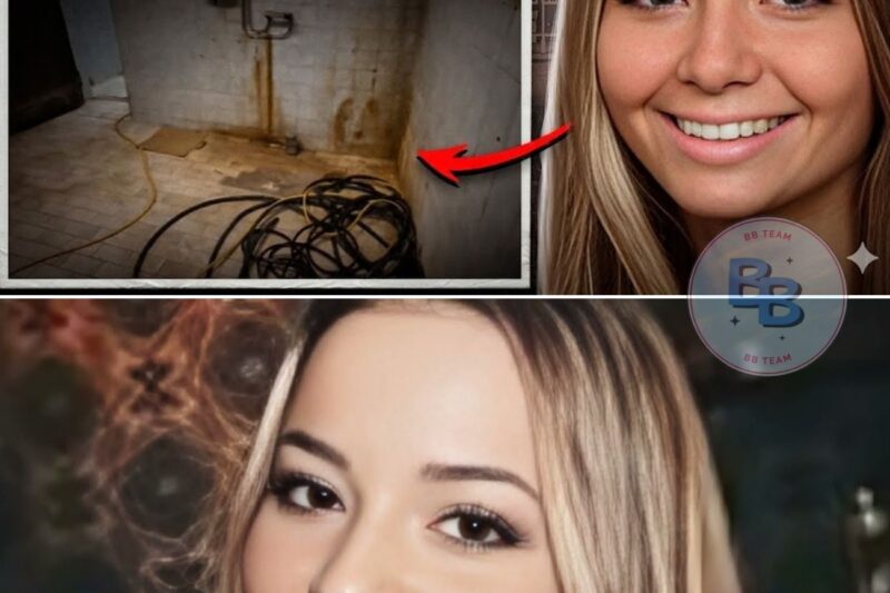 She Walked Out of a Café and Vanished Without a Trace — All of Sweden Searched for Her Until the Disturbing Truth Was Revealed