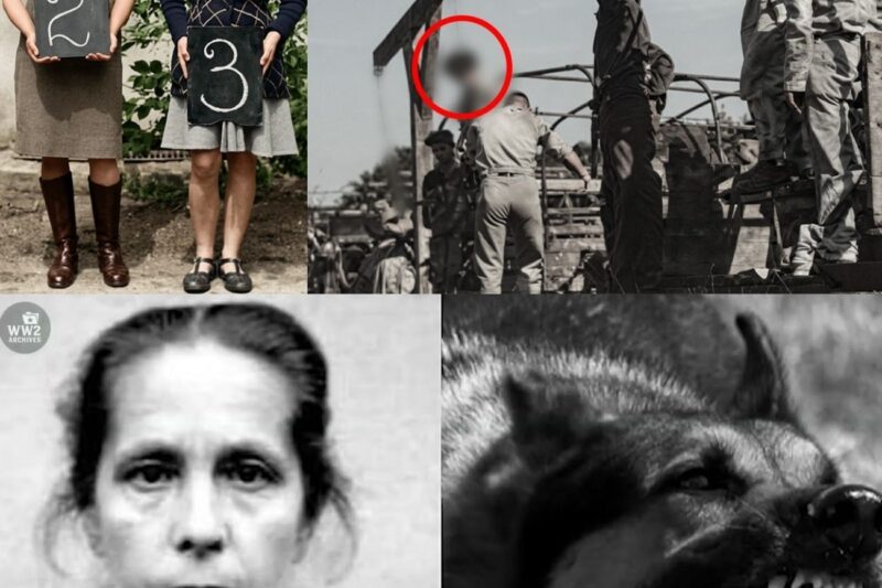 The Infamous Public Execution of Female Nazi Guards at Auschwitz After WWII