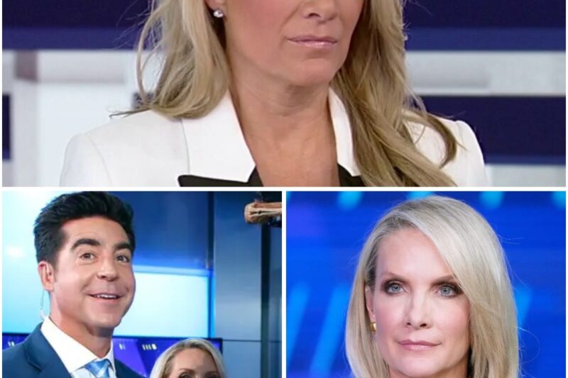 Dana Perino shocked audiences by revealing she had a disagreement with a colleague at Fox News and stated she would leave the network if forced to keep working with that person. What happened?