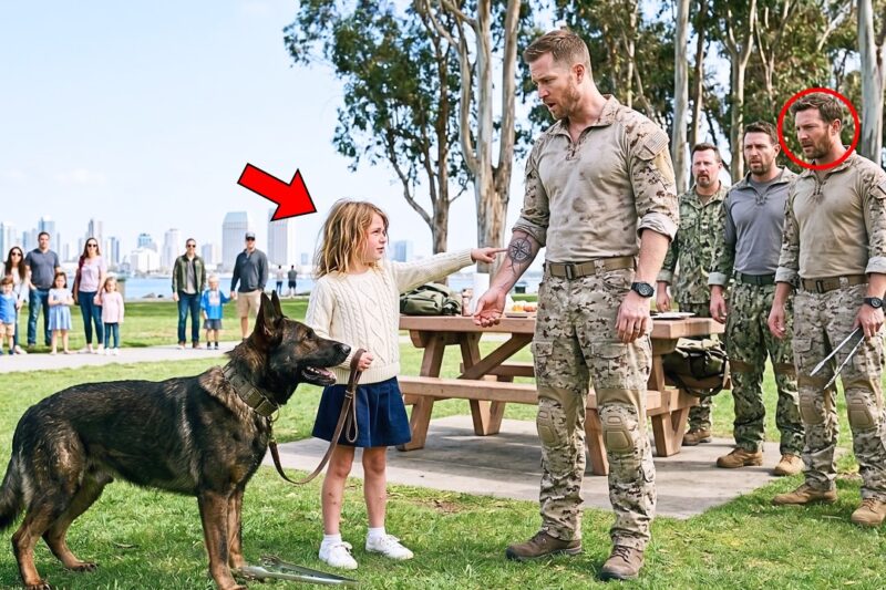 A Little Girl Whispered, ‘My Father Had That Tattoo’ — Her K9 Made 5 Navy SEALs Freeze