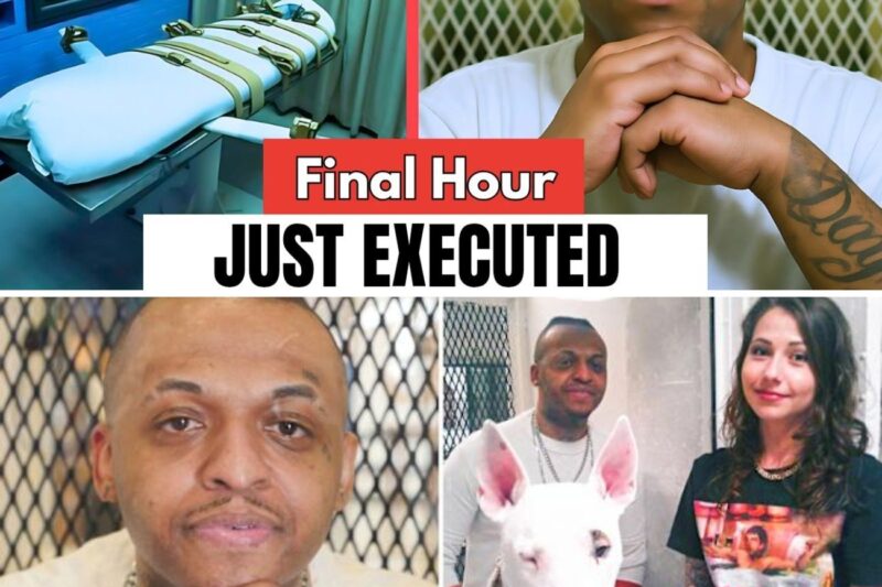 The Final 24 Hours of Stephen Lewyane Nelson + Last Meal + Last Words |Texas Death Row Inmate