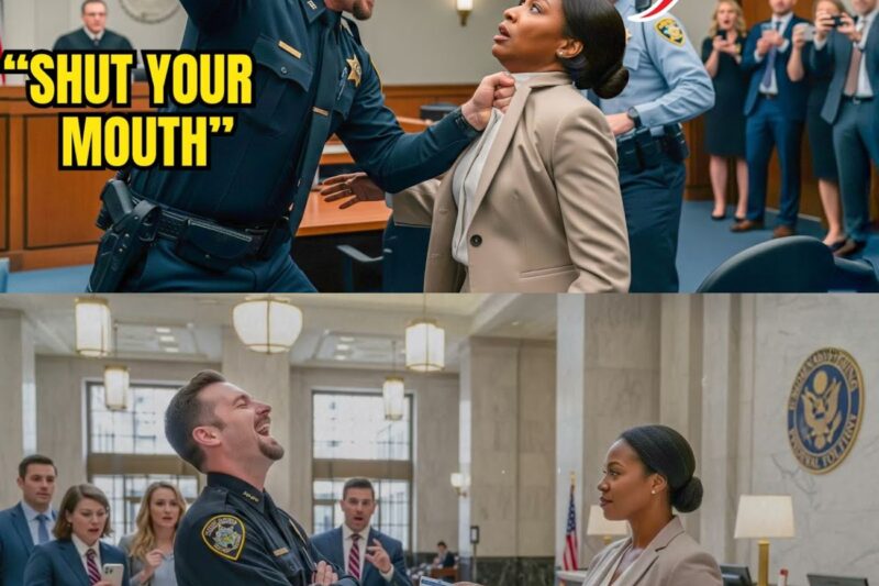 Cop Slaps Black Woman in Court — Unaware She’s His New Police Chief 