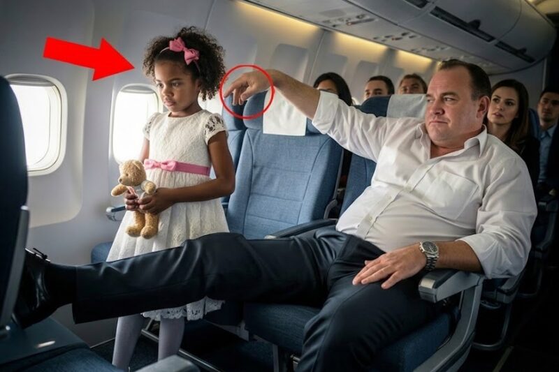 Black Billionaire Girl Seat Stolen by White Passenger — Seconds Later, the Flight Gets Grounded