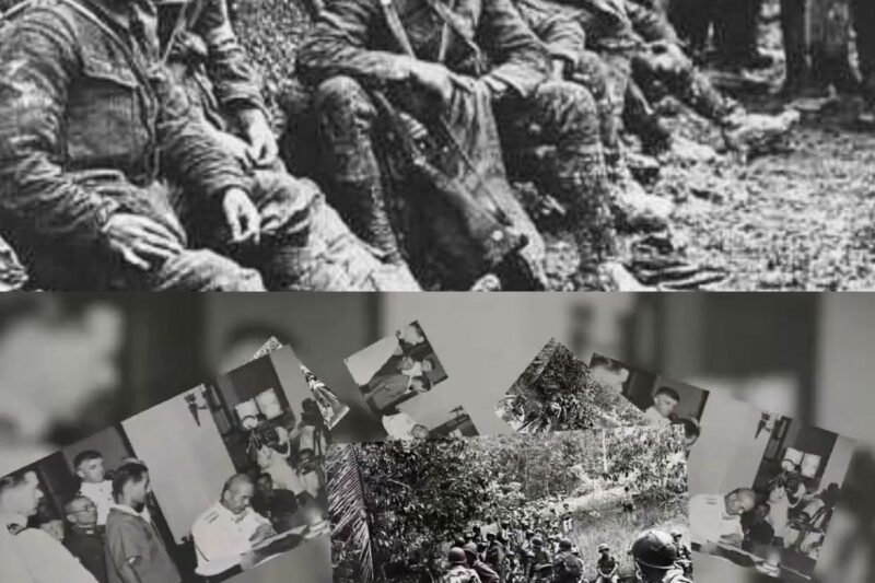 Why Japanese Couldn’t Explain How Australian Squads Fought Without Orders
