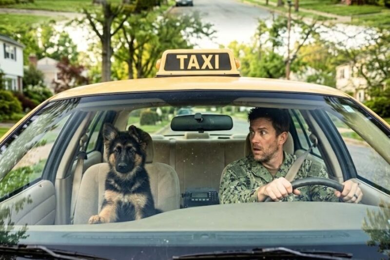 A Lost Puppy Jumped Into a Retired Navy SEAL’s Taxi and Wouldn’t Stop “Talking”