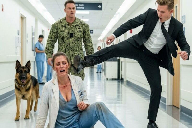 He Attacked a Female Doctor in the Hospital—Then Froze When a Navy SEAL’s K9 Growled Behind Him