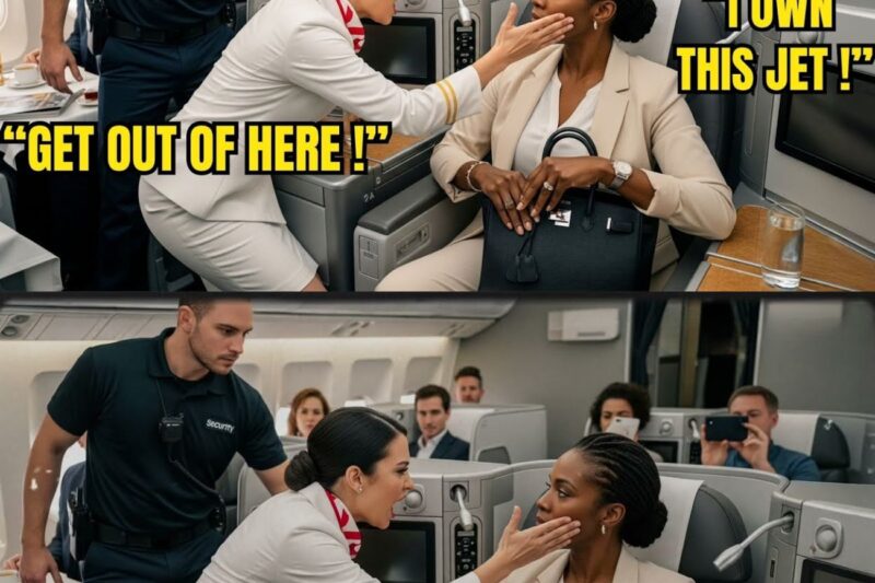 Flight Attendant Slapped a Black CEO on Her Own Jet – 10 Minutes Later, She Fires His Entire Team 