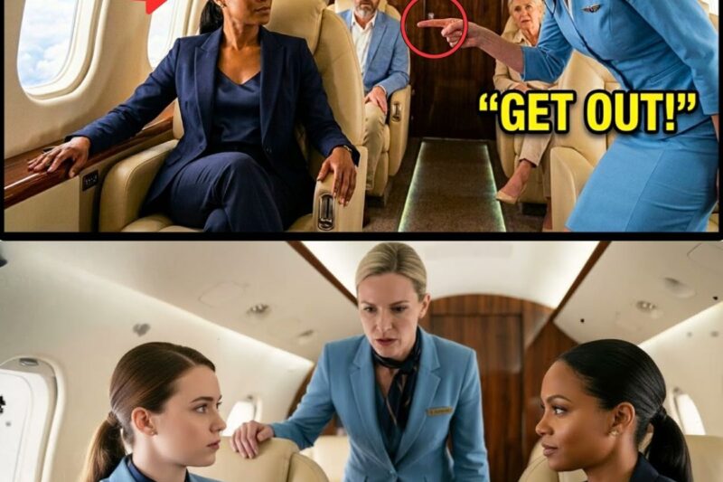 “Get Out of First Class!” Attendant Slapped Black Woman — Then Froze When She Said “I Own the Plane”