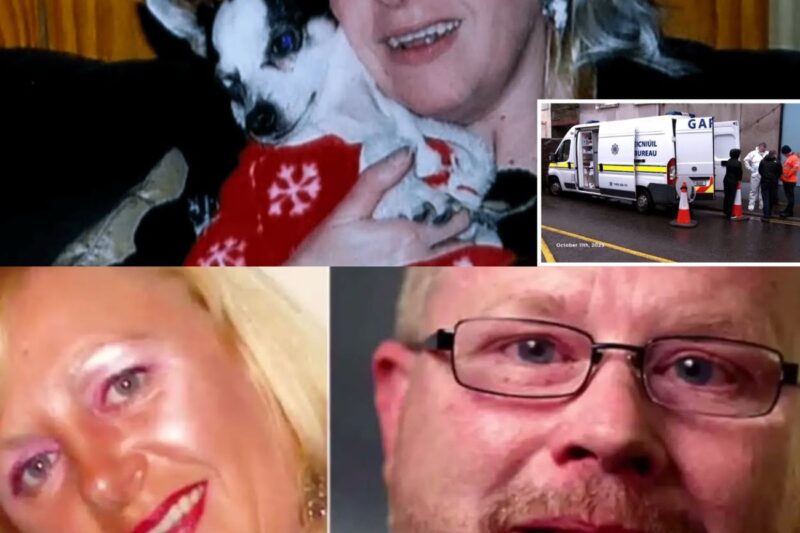  He Buried His Wife Under the Stairs—Then Begged Her to Come Home on Live TV