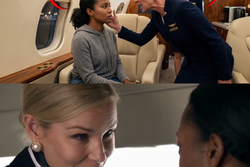 Flight Attendant Slapped Black CEO on Her Jet — Next Morning, Aviation Company Lost Major Contract