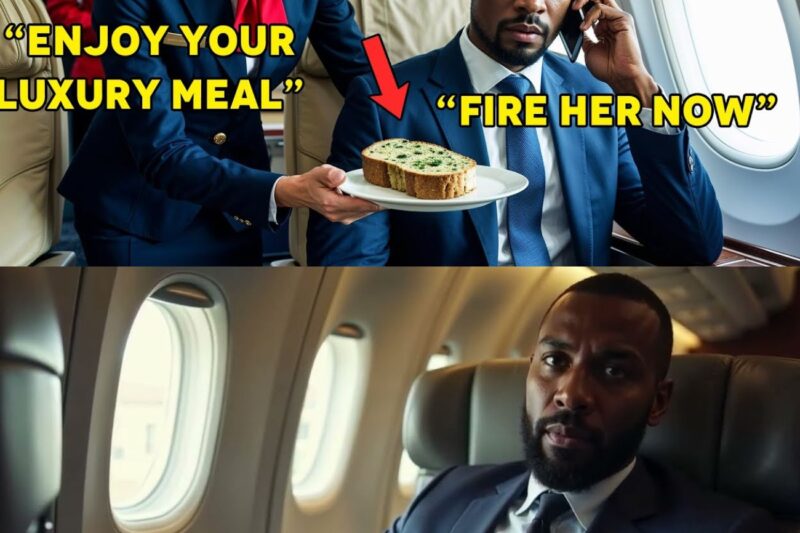 Black CEO Served Moldy Food —So He Fires The Racist Flight Attendant On Landing 
