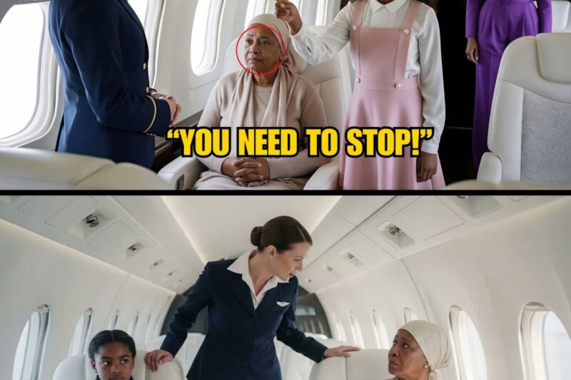 Black billionaire girl stops flight attendant from attacking Black woman on her private jet
