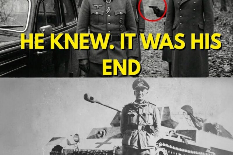 The Real Reason Rommel Was Executed