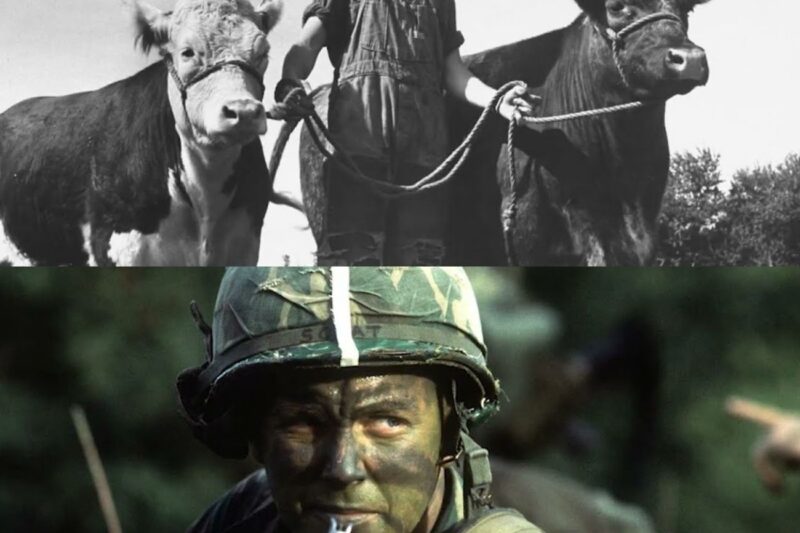 The Viet Cong Sent 3 Kill Teams After One American Sergeant — None of Them Returned