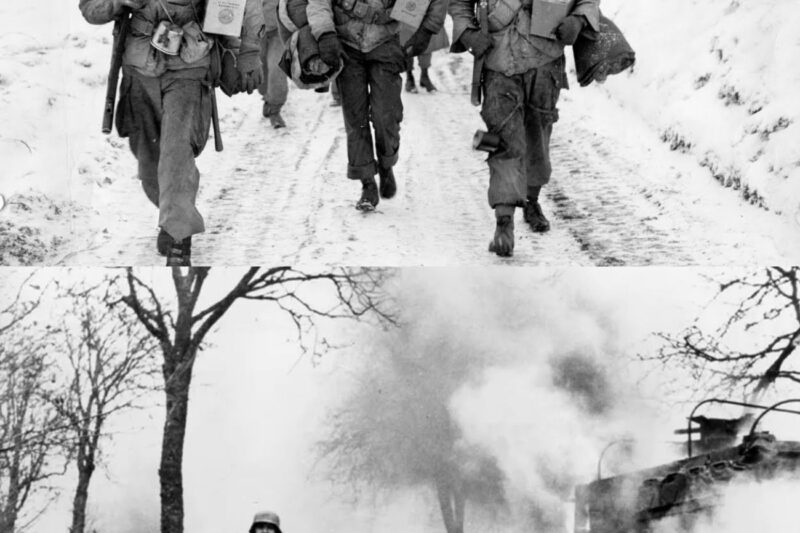 Why German Soldiers Feared The 101st Airborne “Screaming Eagles” At Bastogne