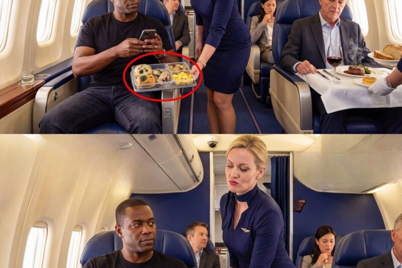 Flight Attendant Gave a Black CEO Moldy Food on Purpose — Before Landing, She Was Fired